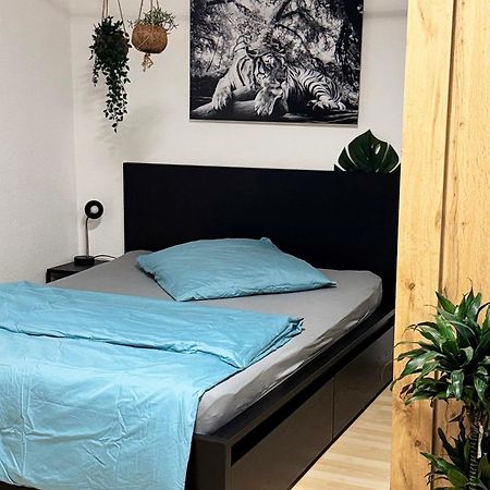 Zentrumnah Inklusive Parkplatz Jungle-Suite By Rentigo - Ruheoase Im Herzen Von Saarbruecken! Екстер'єр фото